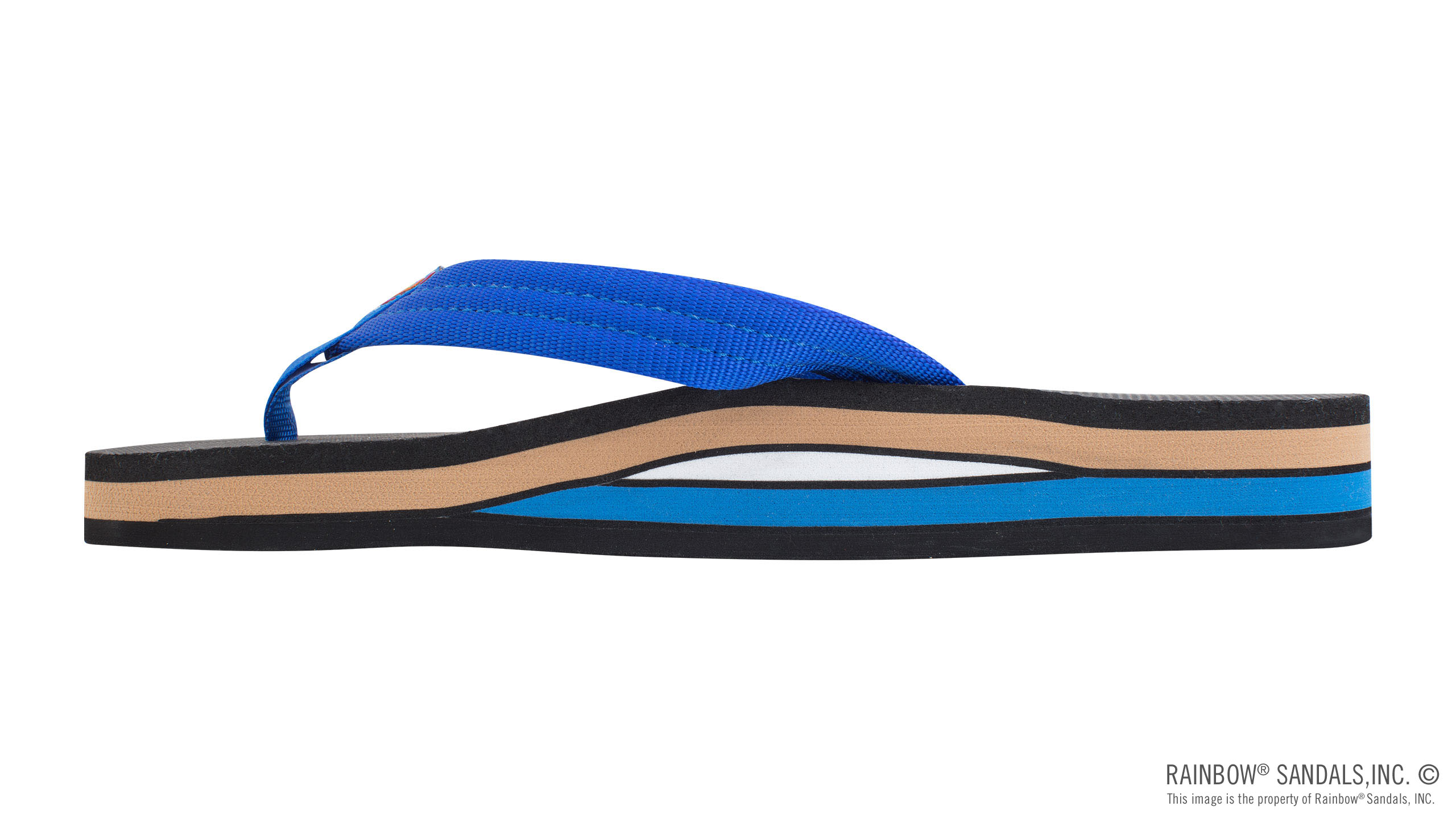 Classic Rubber - Double Layer Soft Top 3/4" EVA Rubber Filled Nylon Strap - Image 2