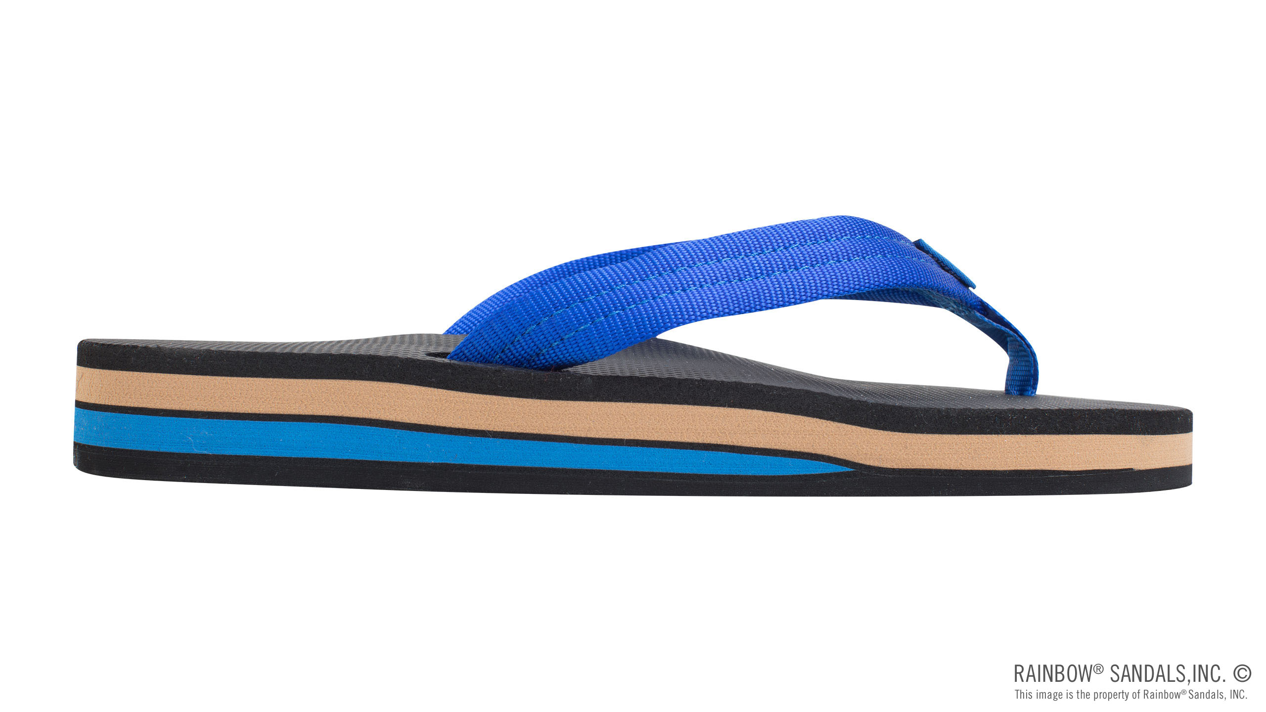 Classic Rubber - Double Layer Soft Top 3/4" EVA Rubber Filled Nylon Strap - Image 4